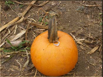 picture of pumpkin with a diamond ring on top of it