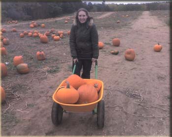 picture of Lara and wheelbarrel full of pumpkins