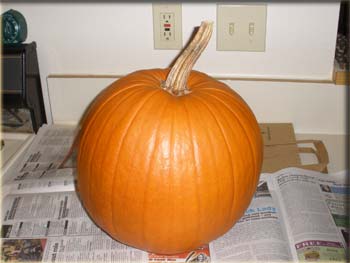 picture of pumpkin